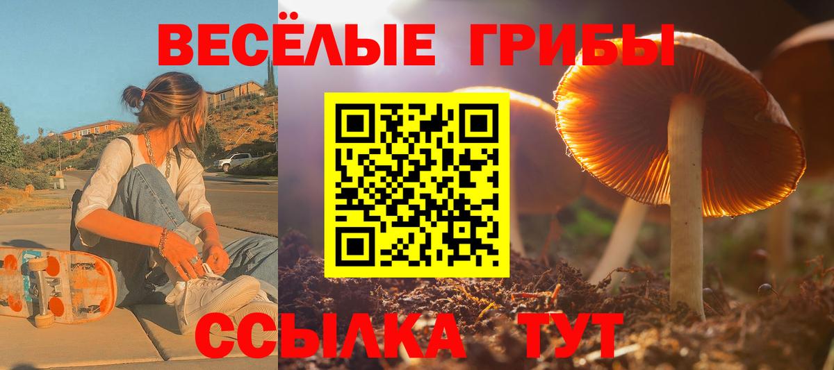 Галлюциногенные грибы мухоморы  Вход с VPN  Галлюциногенные грибы Psilocybe  Дзержинский 