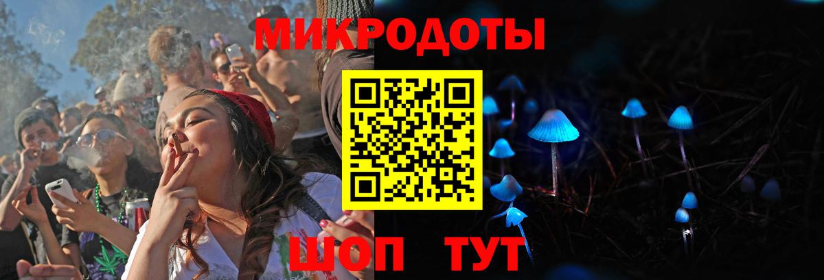 Галлюциногенные грибы Psilocybine cubensis Дзержинский